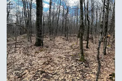 Map8Lot6 Cmp, Prospect, ME 04981 - Photo 33