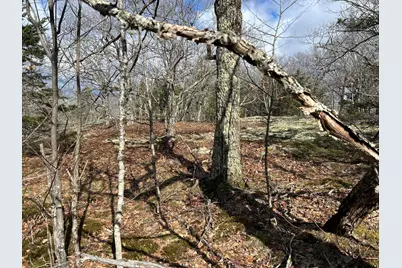 Map8Lot6 Cmp, Prospect, ME 04981 - Photo 23