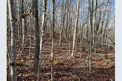 Map8Lot6 Cmp, Prospect, ME 04981 - Photo 9