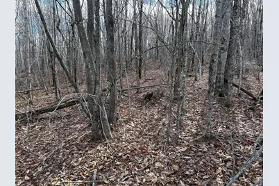 Map8Lot6 Cmp, Prospect, ME 04981 - Photo 7