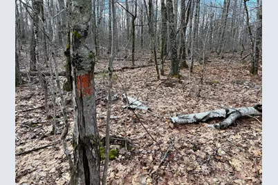 Map8Lot6 Cmp, Prospect, ME 04981 - Photo 35