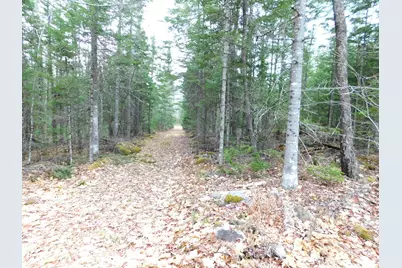 217 Troy Road, Detroit, ME 04929 - Photo 35