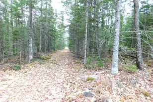 217 Troy Rd, Detroit, ME 04929 - Photo 35