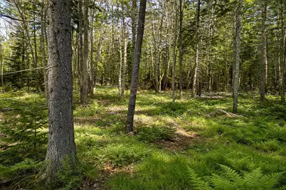 Lot E Fiske Lane, Bristol, ME 04539 - Photo 11