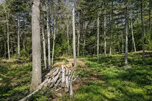 M4 L89-E Fiske Ln, Bristol, ME 04539 - Photo 21