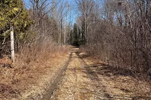 186 Transalpine Rd, Lincoln, ME 04457 - Photo 23