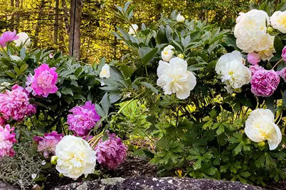 24 White Tail Drive, Rockport, ME 04856 - Photo 49