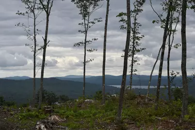 Tbd Deer Hill Road, Harrison, ME 04040 - Photo 3