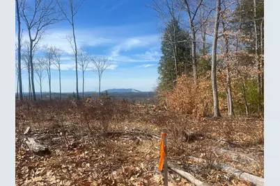 Tbd Deer Hill Road, Harrison, ME 04040 - Photo 11