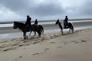 823 Popham Rd, Phippsburg, ME 04562 - Photo 65