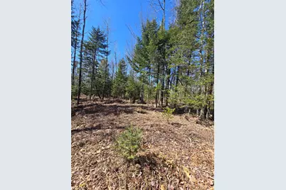 00 Chadbourne Road, Harmony, ME 04942 - Photo 19