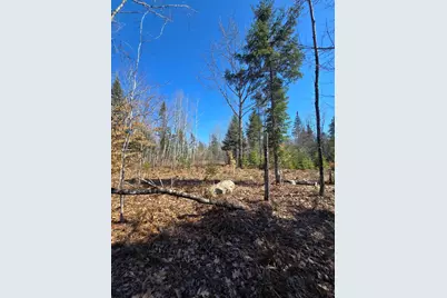 00 Chadbourne Road, Harmony, ME 04942 - Photo 17