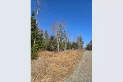 00 Chadbourne Road, Harmony, ME 04942 - Photo 9