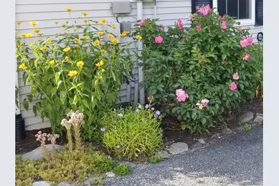 17 Mayflower Lane, Bar Harbor, ME 04609 - Photo 67