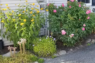 17 Mayflower Ln, Bar Harbor, ME 04609 - Photo 67