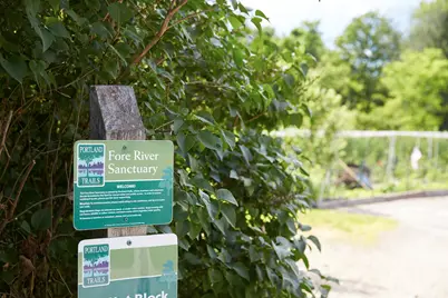 100 Starbird Road #3, Portland, ME 04102 - Photo 49