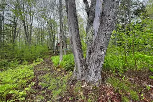 2 S Union River Rd, Mariaville, ME 04605 - Photo 53
