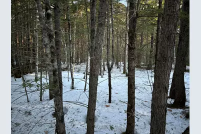 Map13Lot11 Field View Road, Fryeburg, ME 04037 - Photo 25