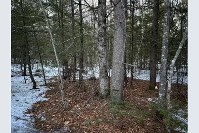 Map13Lot11 Field View Road, Fryeburg, ME 04037 - Photo 35