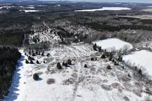 217 Houlton Rd, Presque Isle, ME 04769 - Photo 3