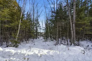 Map 44 Lot 5 Cedar Breeze N, Glenburn, ME 04401 - Photo 1