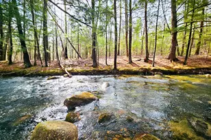 922 Weld Rd, Wilton, ME 04294 - Photo 3