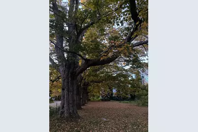 66 Church Street, Stockton Springs, ME 04981 - Photo 15
