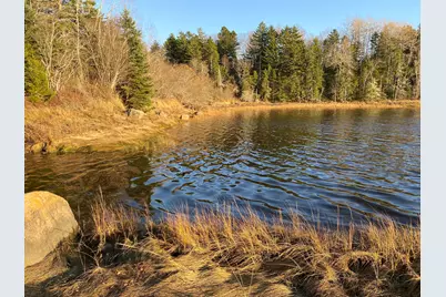 Lot 52 Old Route 1, Jonesboro, ME 04648 - Photo 5