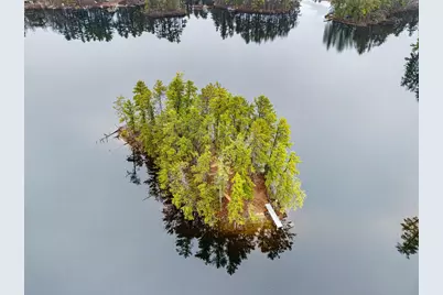0 Lamb Chop & Picnic Island Island, Acton, ME 04001 - Photo 3