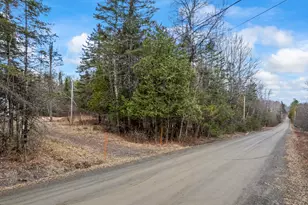 125 Arno Rd, Dexter, ME 04930 - Photo 3