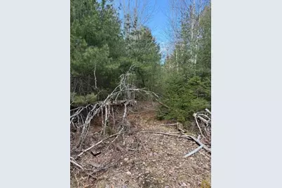 0 N Range Road N, Blue Hill, ME 04614 - Photo 7