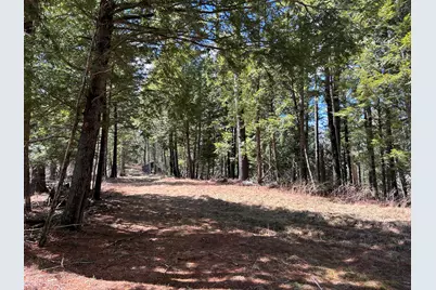 Lot 1 Waldoboro Road, Washington, ME 04574 - Photo 19