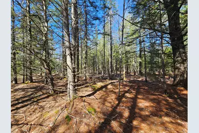 83 Willey District Road, Harrington, ME 04643 - Photo 49