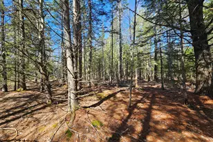 83 Willey District Rd, Harrington, ME 04643 - Photo 49