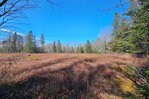 83 Willey District Rd, Harrington, ME 04643 - Photo 55