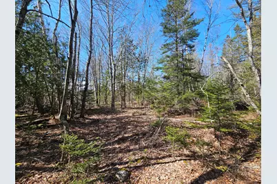 83 Willey District Road, Harrington, ME 04643 - Photo 51