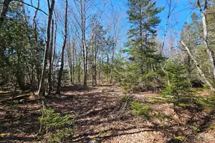 83 Willey District Rd, Harrington, ME 04643 - Photo 51