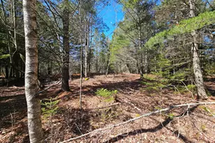 83 Willey District Rd, Harrington, ME 04643 - Photo 47
