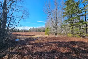 83 Willey District Rd, Harrington, ME 04643 - Photo 53