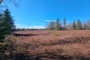 83 Willey District Rd, Harrington, ME 04643 - Photo 7