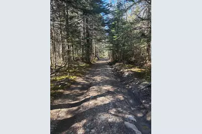 99 Little Machias Road, Cutler, ME 04626 - Photo 13