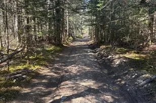 99 Little Machias Rd, Cutler, ME 04626 - Photo 13