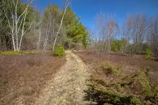 10 Patten Way, Ellsworth, ME 04605 - Photo 63