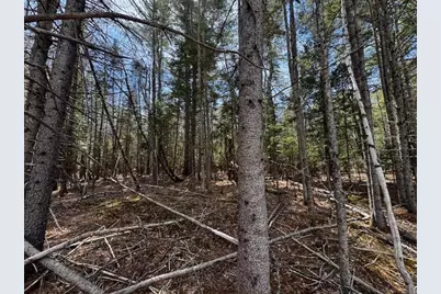 So 001 Plan 2 Lot 16.1 Long Falls Dam Road, Limington, ME 04961 - Photo 11