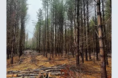 So 001 Plan 2 Lot 16.1 Long Falls Dam Road, Limington, ME 04961 - Photo 29