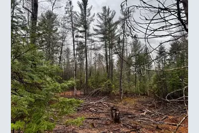 So 001 Plan 2 Lot 16.1 Long Falls Dam Road, Limington, ME 04961 - Photo 15