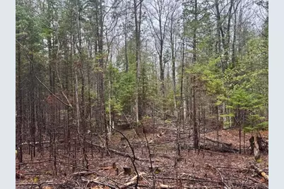 So 001 Plan 2 Lot 16.1 Long Falls Dam Road, Limington, ME 04961 - Photo 25