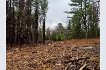 So 001 Plan 2 Lot 16.1 Long Falls Dam Road, Limington, ME 04961 - Photo 17