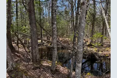 So 001 Plan 2 Lot 16.1 Long Falls Dam Road, Limington, ME 04961 - Photo 7