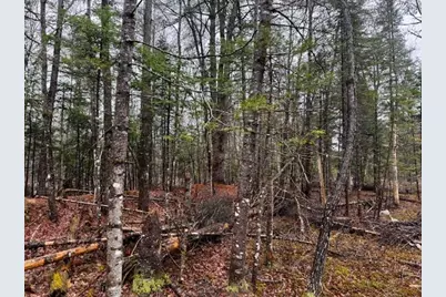 So 001 Plan 2 Lot 16.1 Long Falls Dam Road, Limington, ME 04961 - Photo 23